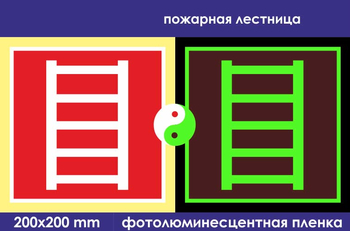 F03 пожарная лестница (фотолюминесцентная пленка, 200х200 мм) - Знаки безопасности - Фотолюминесцентные знаки - Магазин охраны труда Протекторшоп