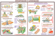ПС09 Безопасность труда при деревообработке (ламинированная бумага, А2, 5 листов) - Плакаты - Безопасность труда - Магазин охраны труда Протекторшоп
